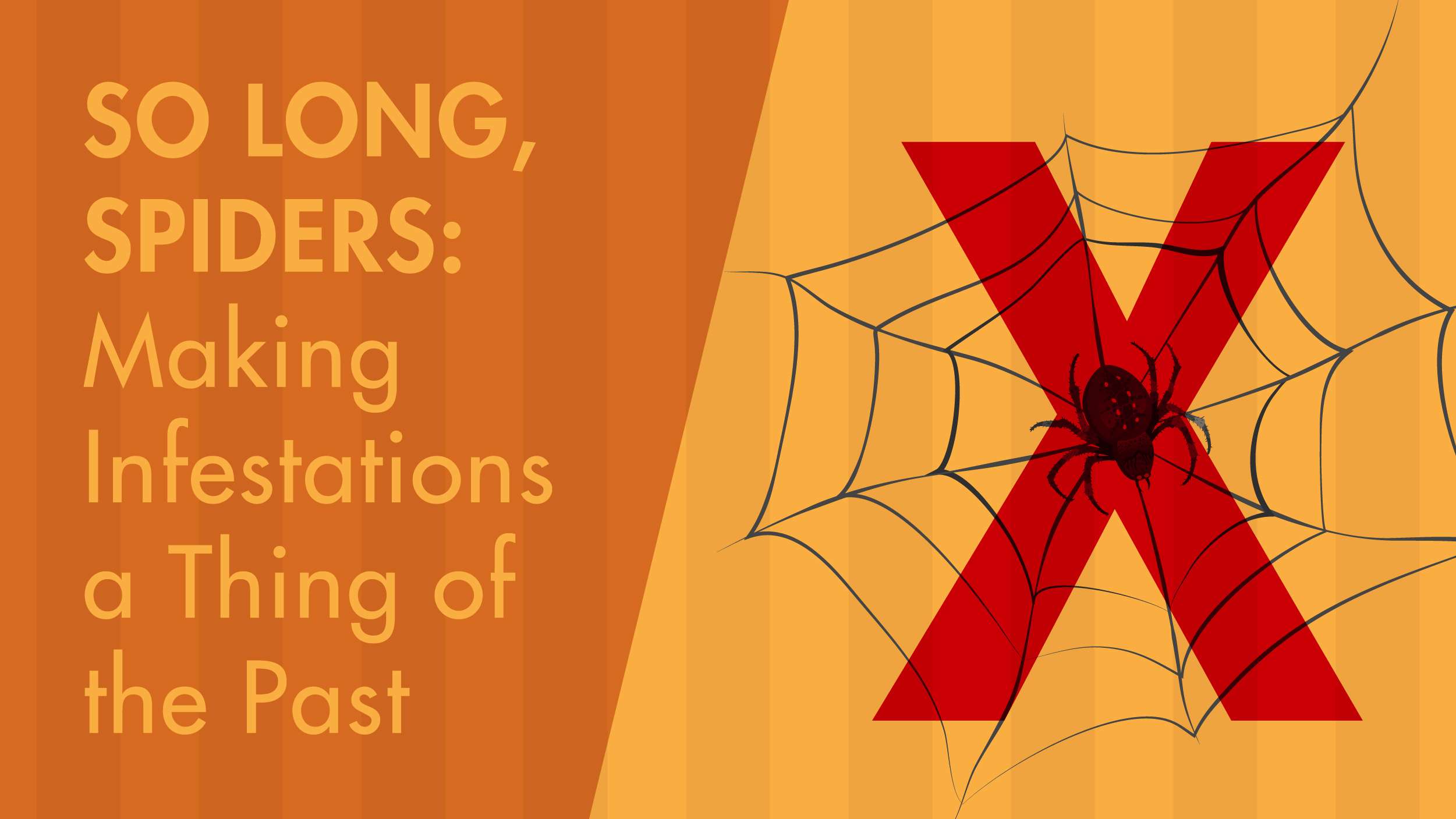 spiders graphic