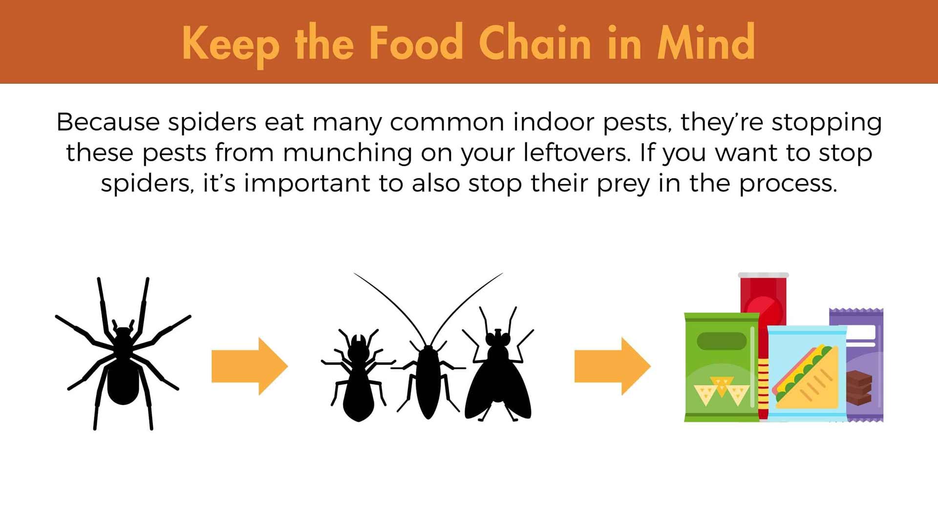 Keep the food chain in mind. Because spiders eat many common indoor pests, they're stopping these pests from munching on your leftovers. If you want to stop spiders, it's important to also stop their prey in the process.