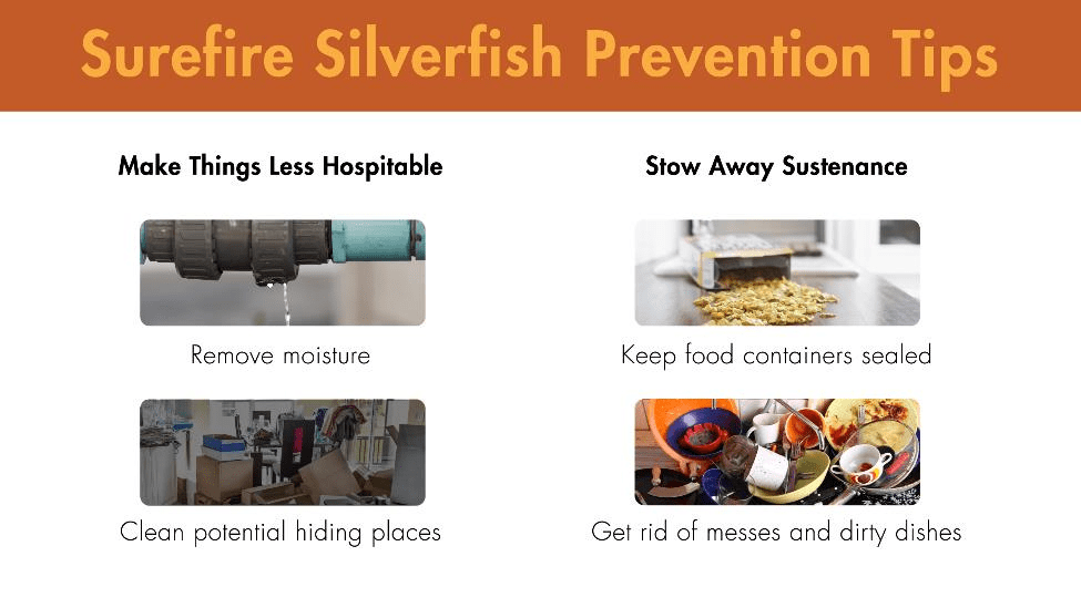 Surefire silverfish prevention tips: 1) Make things less hospitable by removing moisture and cleaning potential hiding places 2) Stow away sustenance by keeping food containers sealed and getting rid of messes and dirty dishes.