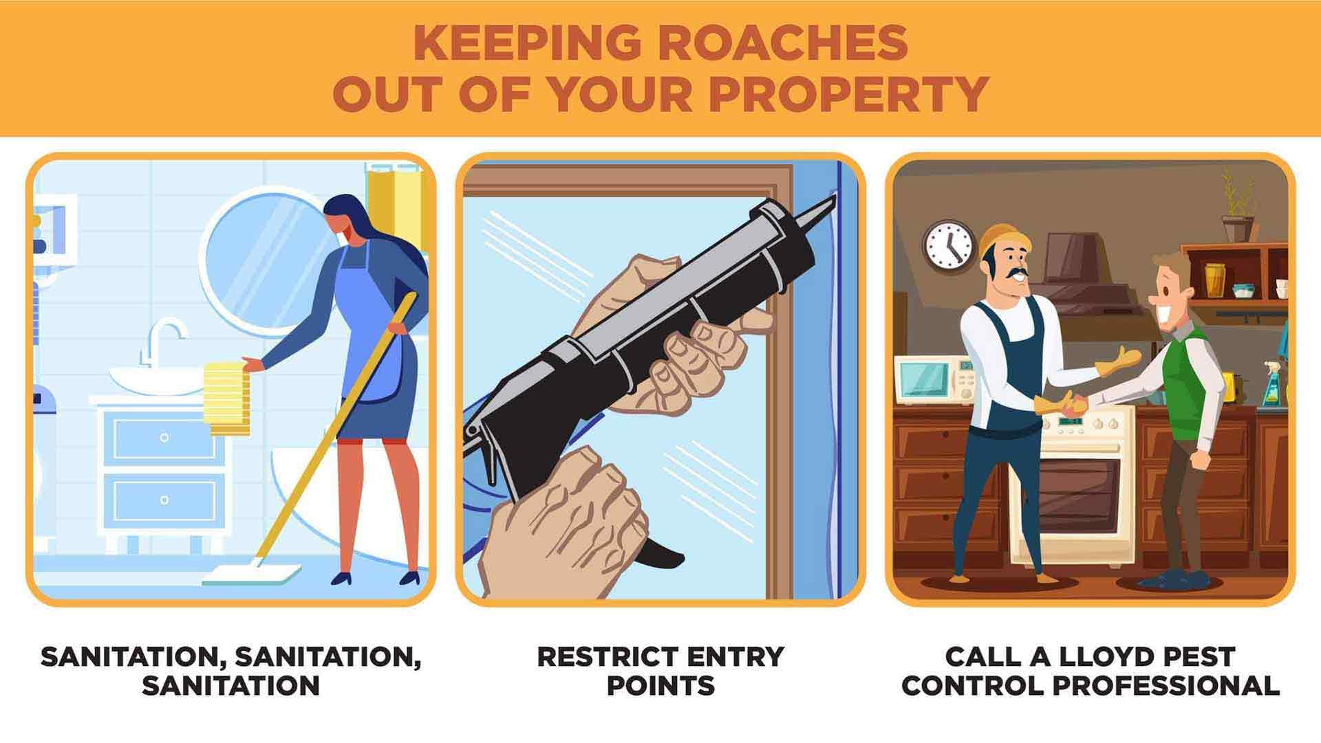 Three-part illustration featuring person cleaning their home, restricting German cockroach entry points, and calling a cockroach professional at Lloyd Pest.