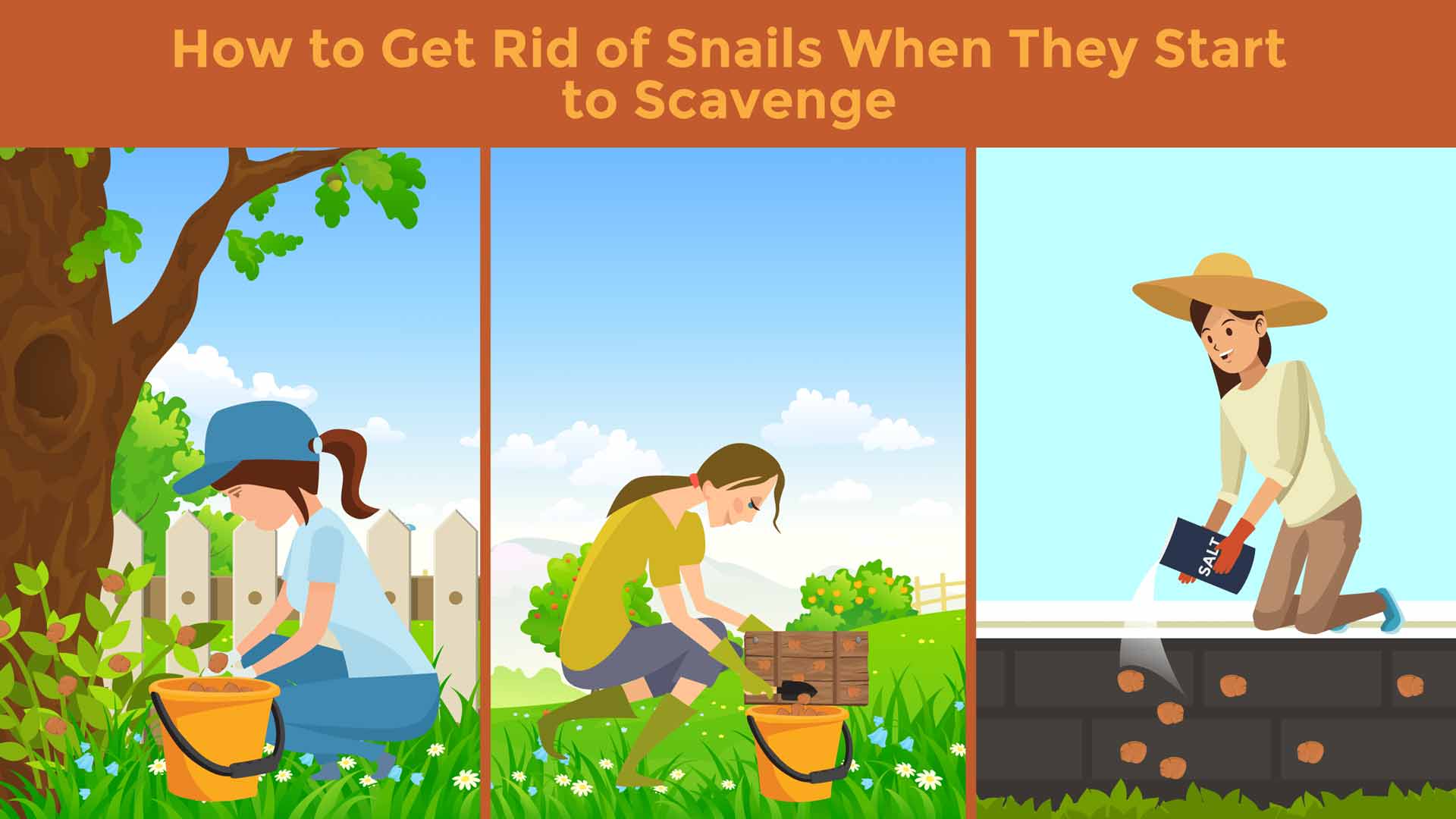 Illustration showcasing three different ways to get rid of snails when you find them in your yard or garden. 