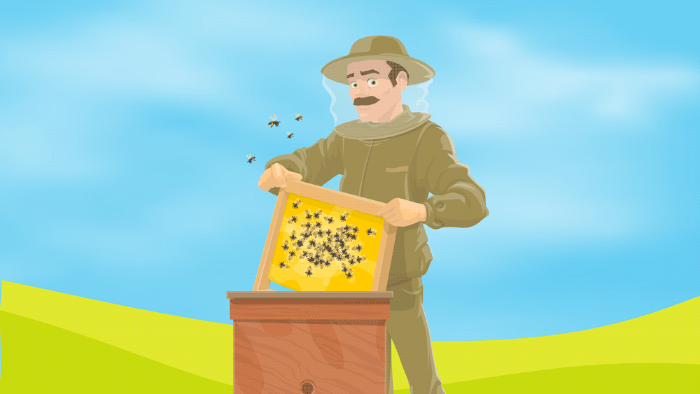 Illustration of a beekeeper in a protective suit handling his bee colony. 