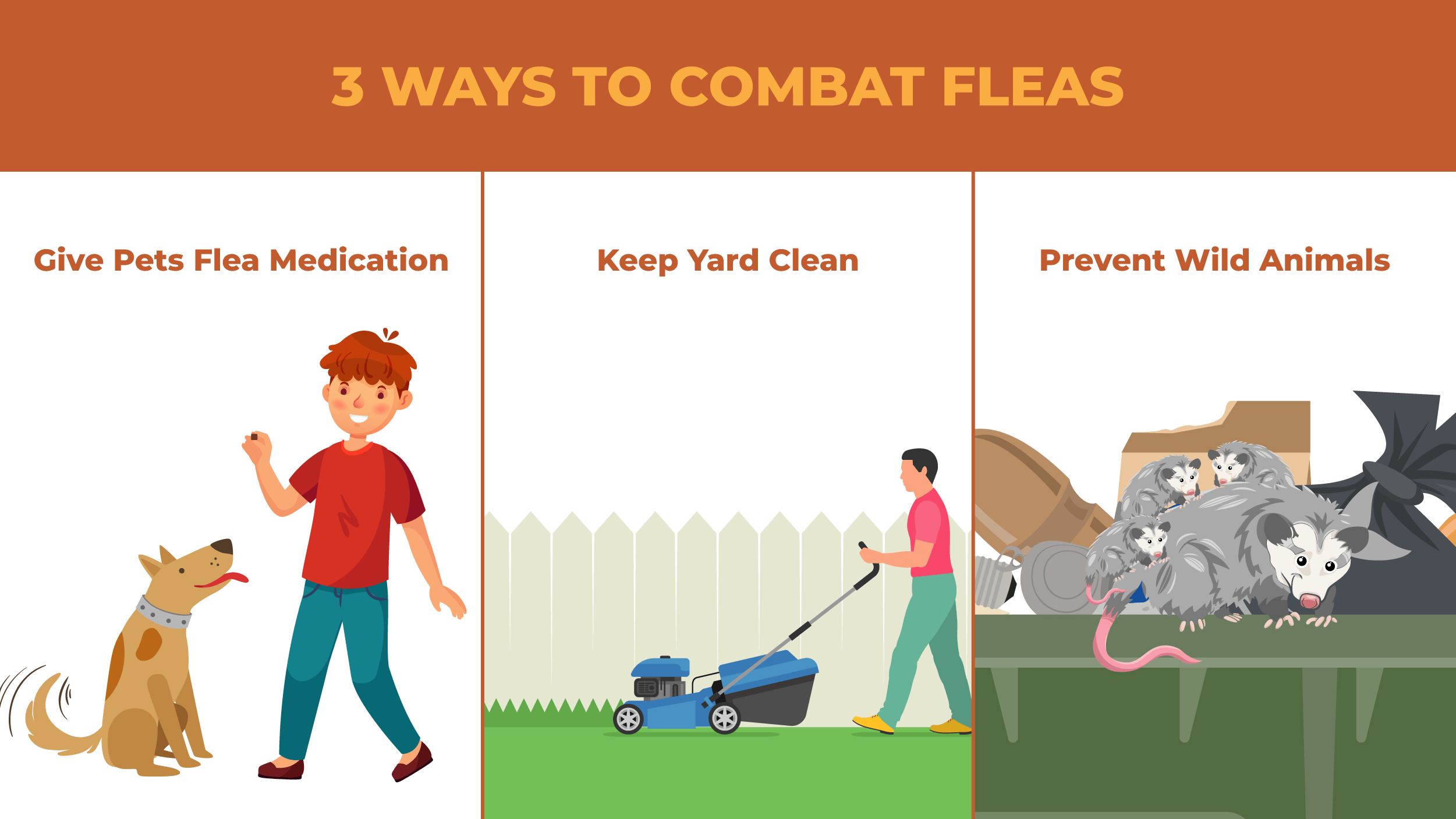 Triptych illustrations of three different ways to combat fleas, including giving your pets anti-flea meds, keeping your lawn clean, and preventing wild animals from coming near your property. 