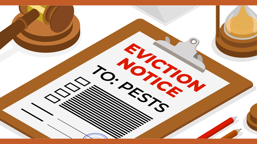 Illustration featuring a pest eviction notice on clipboard next to gavel.