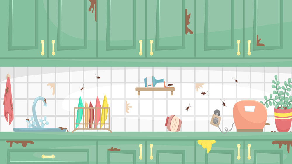 Illustration featuring cockroaches crawling across the backsplash of a kitchen in a Southern California home.