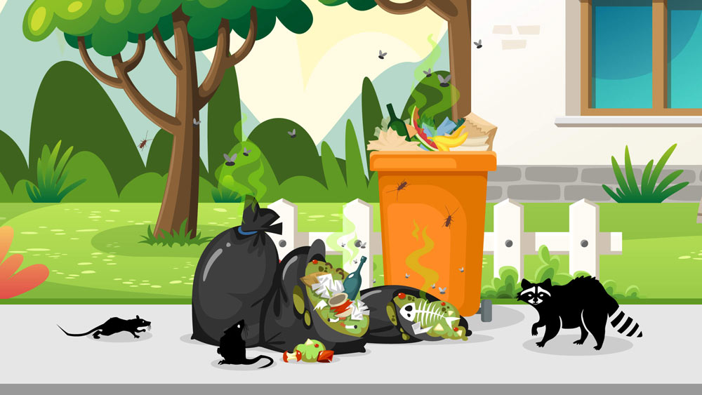 Illustration of rats, flies, roaches, and raccoons going after residential trash cans in Southern California that have been improperly sealed.