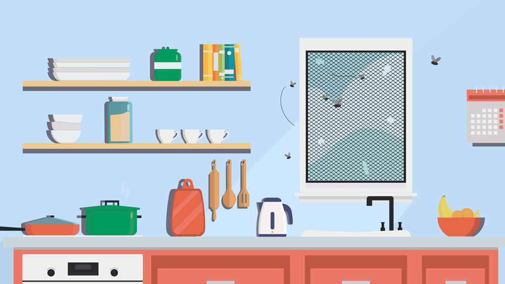 Illustration featuring a fly infestation inside a Southern California home's kitchen.