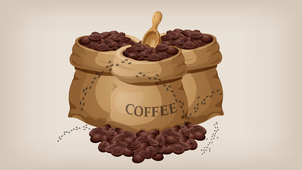 Illustration of ants crawling on muslin bags of coffee.