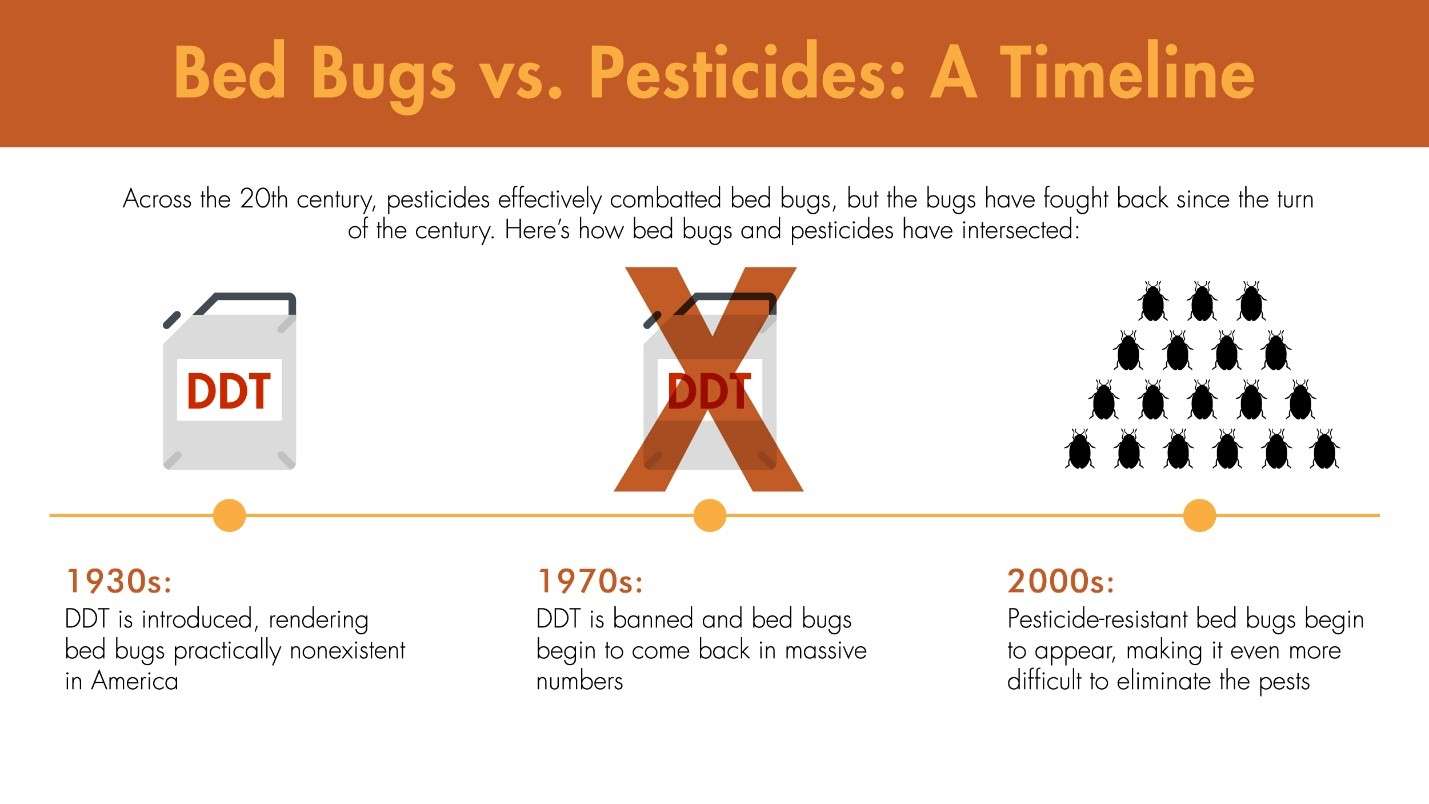 Illustration of the timeline from initial bed bug pesticide treatments to immunity.