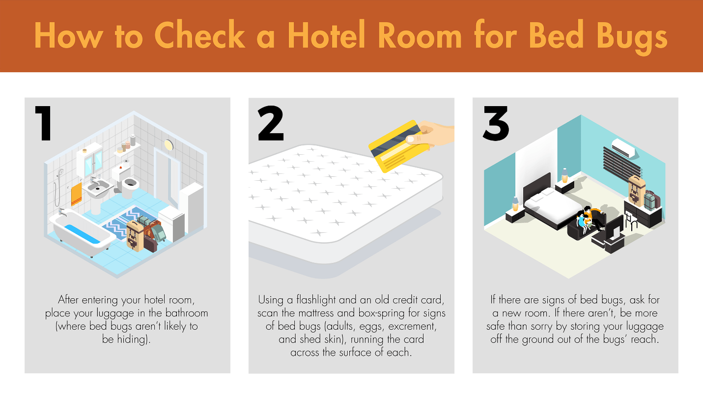 Illustration showing three steps to take when checking a hotel room for bed bugs.