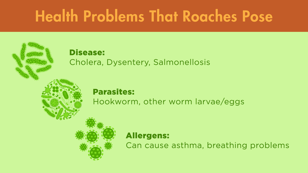 Illustration detailing health problems that roaches pose, including diseases, parasites, and allergens.