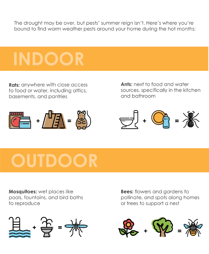 The drought may be over, but pests' summer reign isn't. Rats can be found in attics, basements, and pantries. Ants can be found in kitchens and bathrooms. Mosquitoes can be found in pools, fountains, and bird baths. Bees can be found in gardens and spots along homes or trees where they may build a nest.