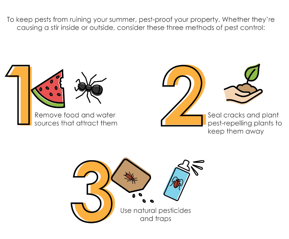 To keep pests from ruining your summer, pest-proof your property. Remove food and water sources that attract them, seal cracks and plant pest-repelling plants to keep them away, and use natural pesticides and traps.