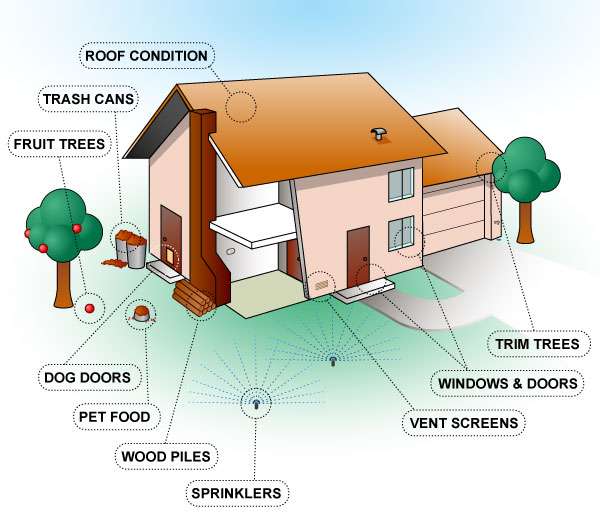 Lloyd home diagram