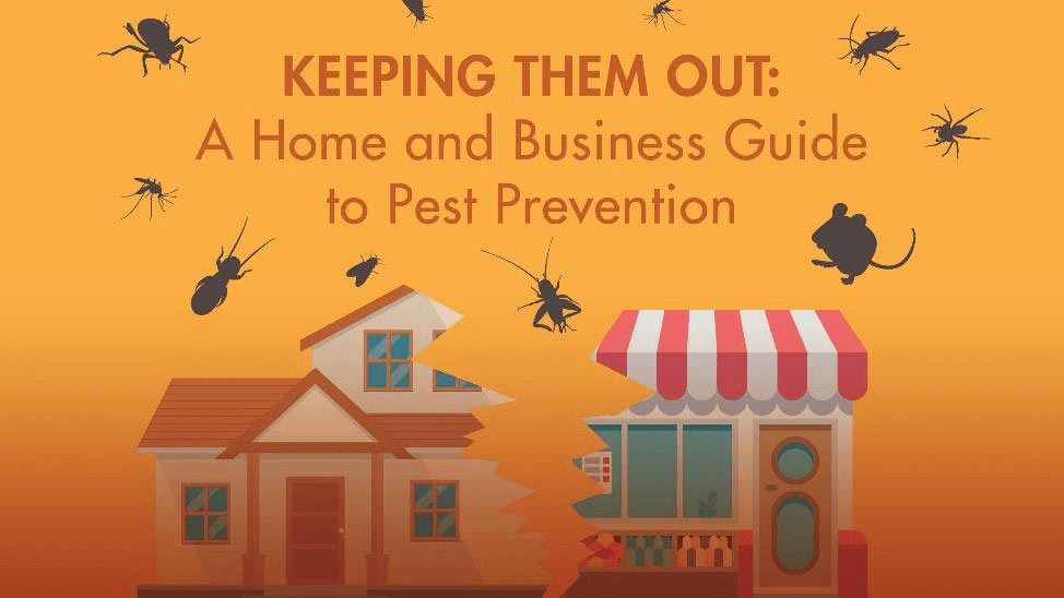 Keeping Them Out: A Home and Business Guide to Pest Prevention