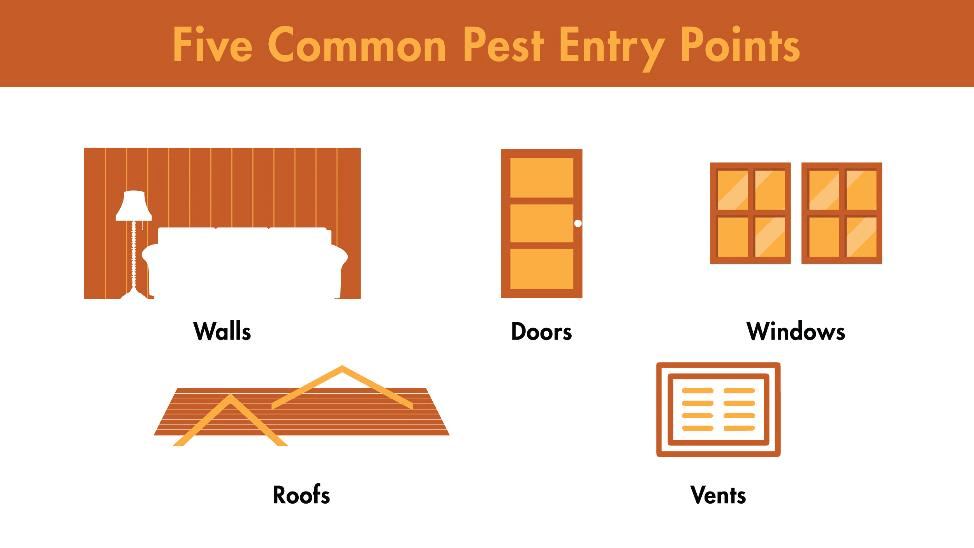 Five common pest entry points include walls, doors, windows, roofs, and vents.