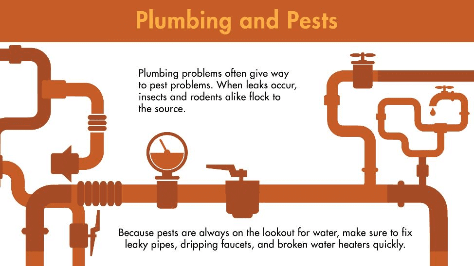 Plumbing problems often give way to pest problems. When leaks occur, insects and rodents alike flock to the source. Because pests are always on the lookout for water, make sure to fix leaky pipes, dripping faucets, and broken water heaters quickly.