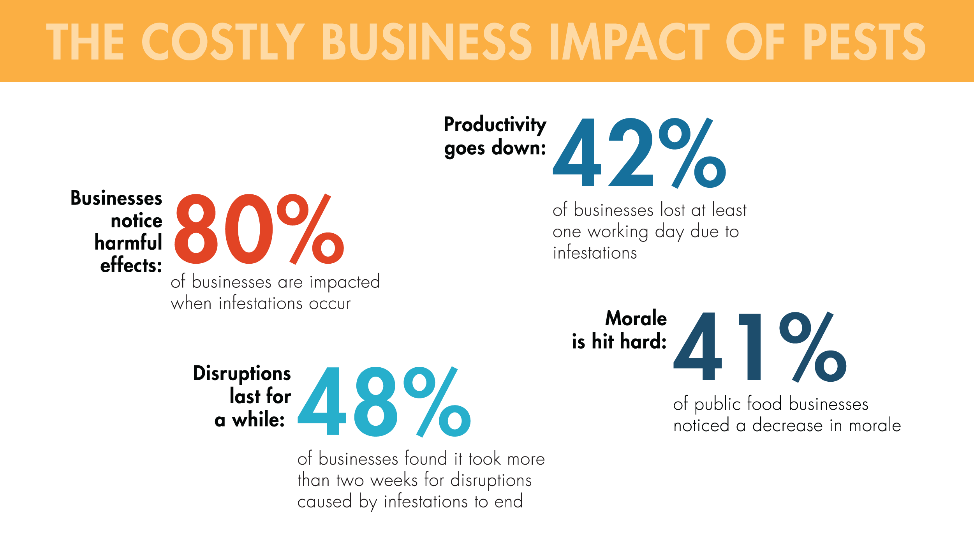 Pests are costly to businesses. 80 percent of businesses are impacted when infestations occur. 42 percent of businesses lost at least one working day due to infestations. 48 percent of businesses found it took more than two weeks for disruptions caused by infestations to end. 41 percent of public food businesses noticed a decrease in morale.