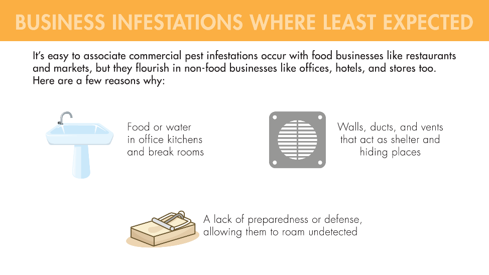 It's easy to associate commercial pest infestations with food businesses like restaurants and markets, but they flourish in non-food businesses like offices, hotels and stores too. That's because office kitchens and break rooms provide food and water. In addition, walls, ducts, and vents act as shelter and hiding places, and a lack of preparedness or defense allows them to roam undetected.