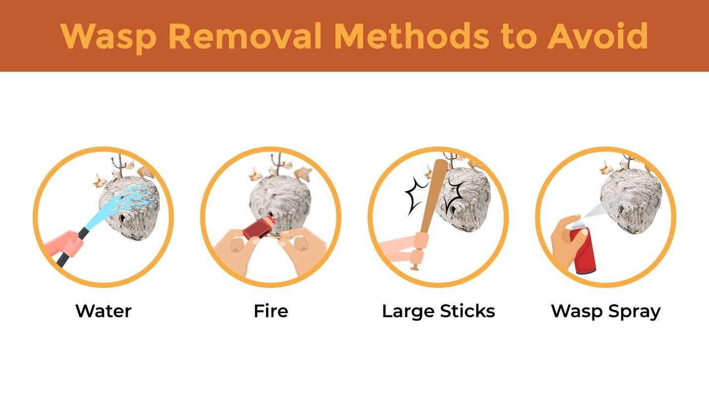 Illustration featuring circular icons denoting wasp removal methods to avoid. 